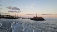 Wir fahen wieder in Hafen.